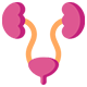 department-of-urology